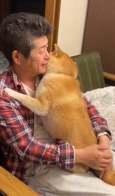 飼い主に抱きつく柴犬