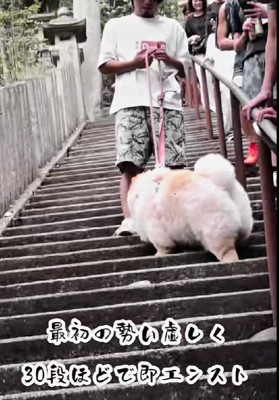 まさかの30段でエンスト