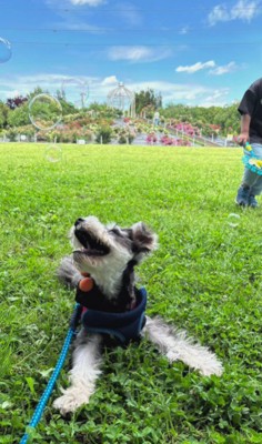 幸せそうな姿に涙…