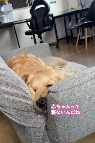 「さすがに眠たい…」