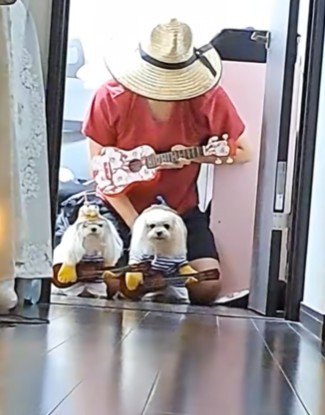 今回は3人でギター