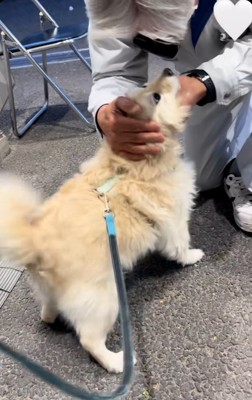 微笑ましいふたり