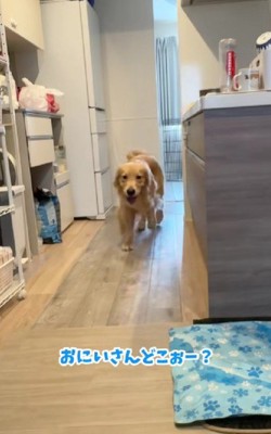 キッチンの方へ移動