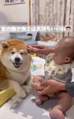 笑顔の柴雄くん