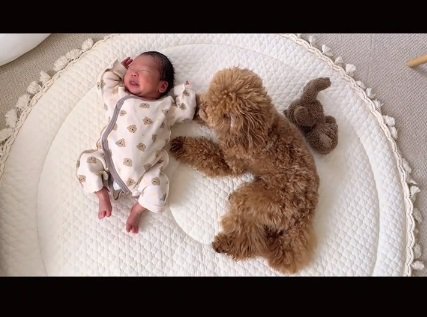 見守るりのちゃん