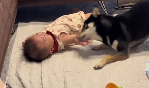 「こっちにひっくり返って！」