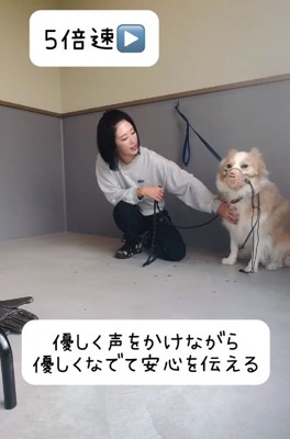 撫でられるそらくん