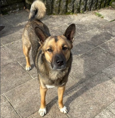 甘えん坊な男の子