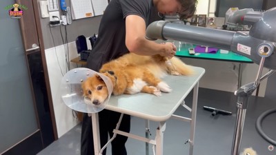 リラックスした表情に