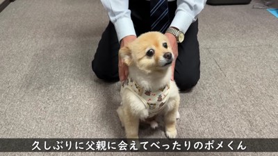 再会を喜ぶポメくん