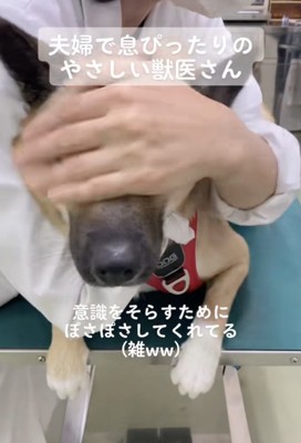 強めに「ぽさぽさ」されてます