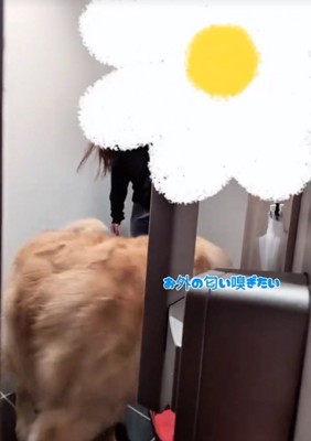 降りてきた女性