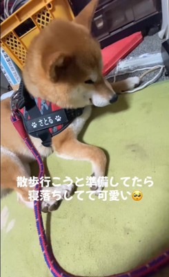 寝落ちする悟くん6