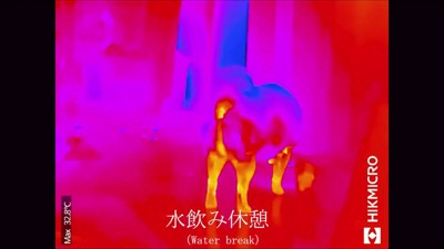 水飲み場へ移動
