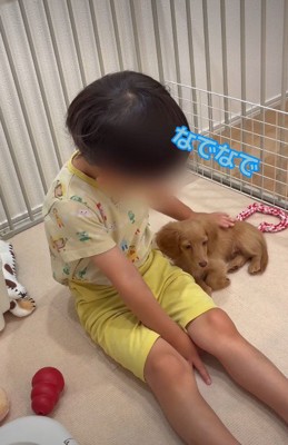 可愛すぎるやり取り