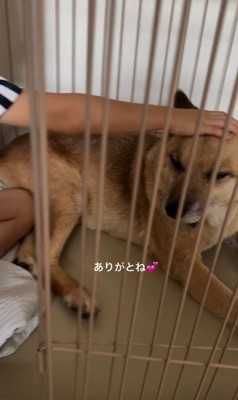 おふとん君と男の子9