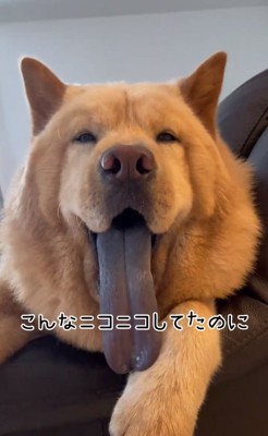 笑顔のぽぽ太くん