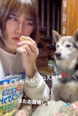 匂いをチェック