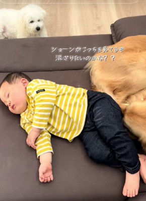 羨ましそうに見つめるしょーんくん