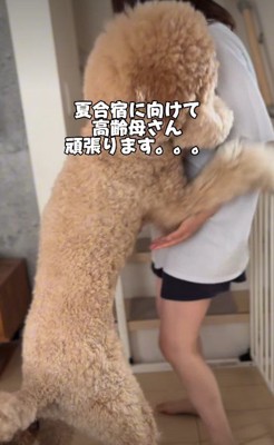 当日もうまくいきますように！