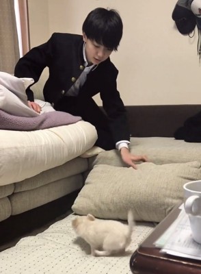 クッションを床に置く人と犬