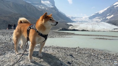 氷河の近くに到着