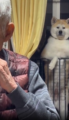 目線を外さない紅ちゃん