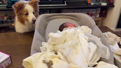 赤ちゃんが泣き始めた