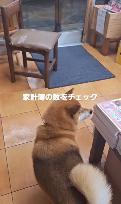 家計簿チェックするクムちゃん2