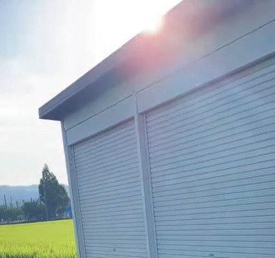 朝の日差しと田んぼ