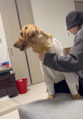 幸せあふれる光景にホッコリ