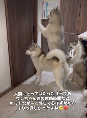 「パパまだかなー！」
