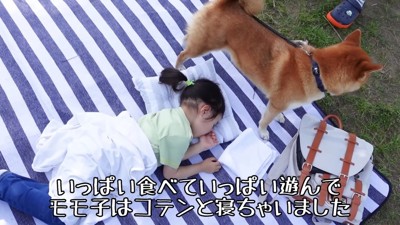 モモ子ちゃん寝ちゃった