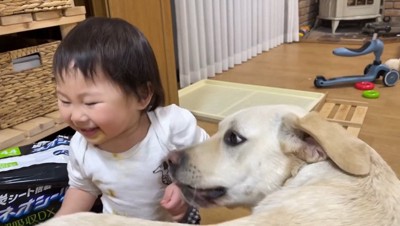 子供と遊ぶ犬