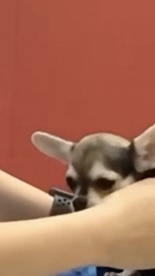 病院はいまだに嫌い