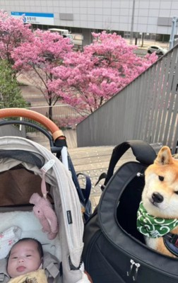 おでかけするときも一緒