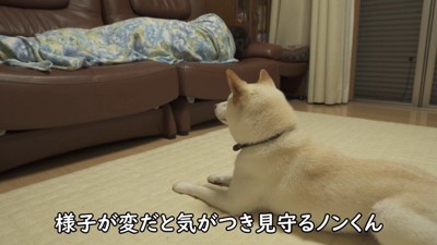 とても心配そう!