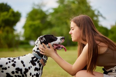 飼い主を見る犬