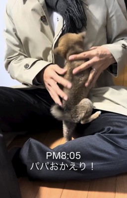 人の膝に飛びつく子犬
