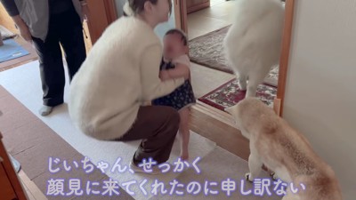 あいちゃんが颯爽と登場