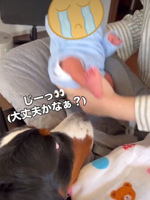 赤ちゃんを抱っこするママ