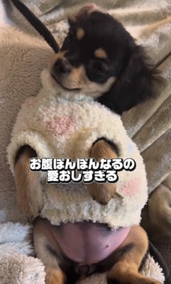 お腹がまんまる♡