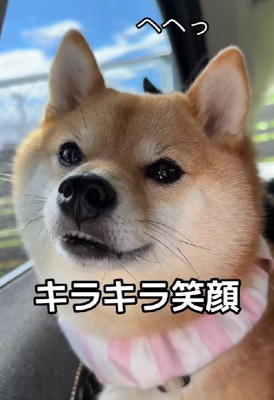 テンションMAX♪