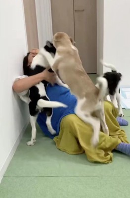 わちゃわちゃ大歓迎!!