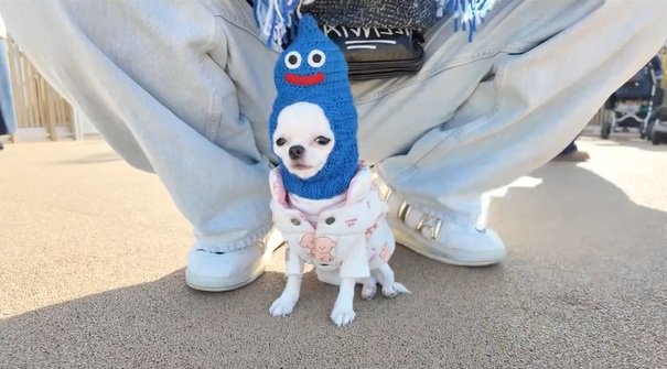 パパの足元に座るルミちゃん