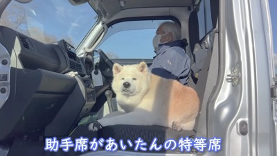 軽トラの助手席が特等席
