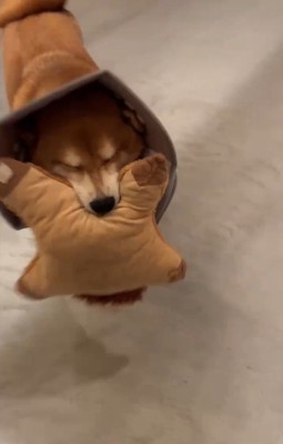 目をつぶっている長三郎くん