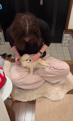 こはくちゃんとお姉ちゃんの再会2