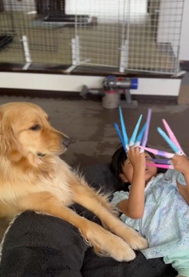 爪のおもちゃで遊んでいる女の子を眺める犬
