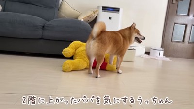 そわそわするうにくん
